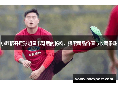 小胖拆开足球明星卡背后的秘密，探索藏品价值与收藏乐趣