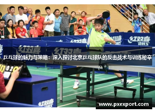 乒乓球的魅力与策略：深入探讨北京乒乓球队的反击战术与训练秘辛