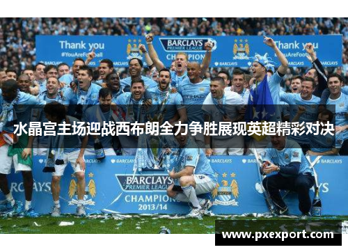 水晶宫主场迎战西布朗全力争胜展现英超精彩对决