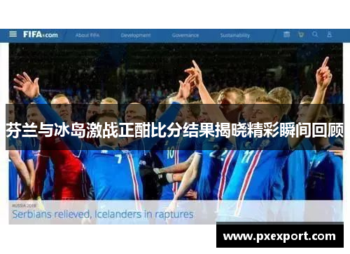 芬兰与冰岛激战正酣比分结果揭晓精彩瞬间回顾